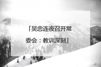 吴忠连夜召开常委会：教训深刻