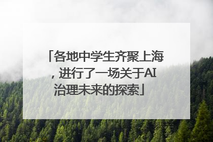 各地中学生齐聚上海，进行了一场关于AI治理未来的探索