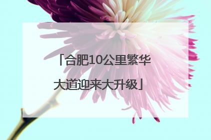 合肥10公里繁华大道迎来大升级