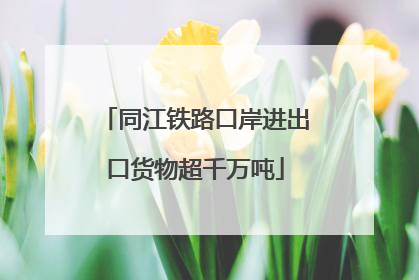 同江铁路口岸进出口货物超千万吨