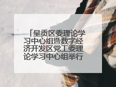 呈贡区委理论学习中心组暨数字经济开发区党工委理论学习中心组举行2025年第七次学习会议