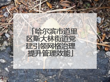 哈尔滨市道里区斯大林街道党建引领网格治理提升管理效能