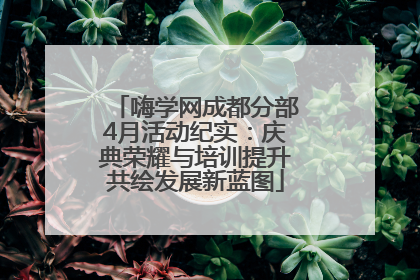 嗨学网成都分部4月活动纪实：庆典荣耀与培训提升共绘发展新蓝图
