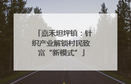 嘉禾坦坪镇：针织产业解锁村民致富“新模式”