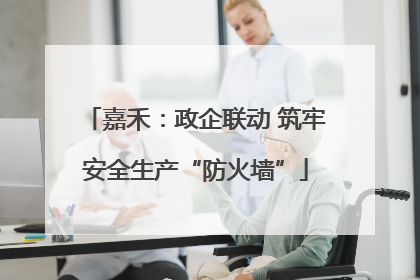 嘉禾：政企联动 筑牢安全生产“防火墙”