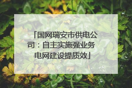国网瑞安市供电公司：自主实施强业务 电网建设提质效