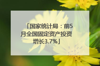 国家统计局：前5月全国固定资产投资增长3.7%