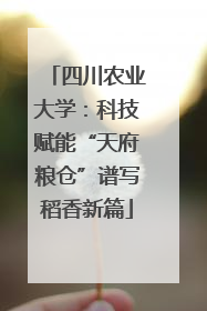 四川农业大学：科技赋能“天府粮仓”谱写稻香新篇