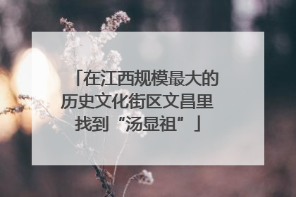 在江西规模最大的历史文化街区文昌里找到“汤显祖”