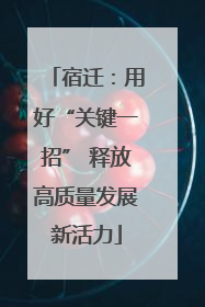 宿迁：用好“关键一招” 释放高质量发展新活力