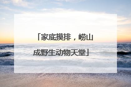 家底摸排，崂山成野生动物天堂