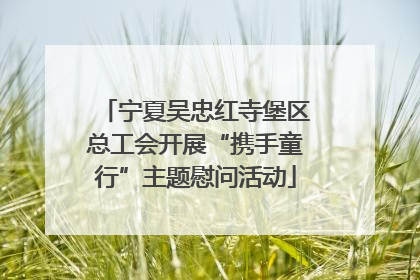 宁夏吴忠红寺堡区总工会开展“携手童行”主题慰问活动
