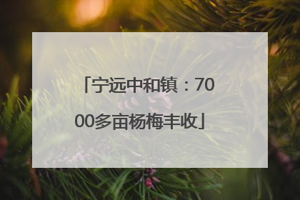 宁远中和镇：7000多亩杨梅丰收