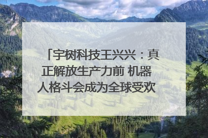 宇树科技王兴兴：真正解放生产力前 机器人格斗会成为全球受欢迎的赛事｜科技观察