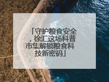 守护粮食安全，徐汇这场科普市集解锁粮食科技新密码