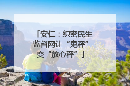 安仁:织密民生监督网让“鬼秤”变“放心秤”
