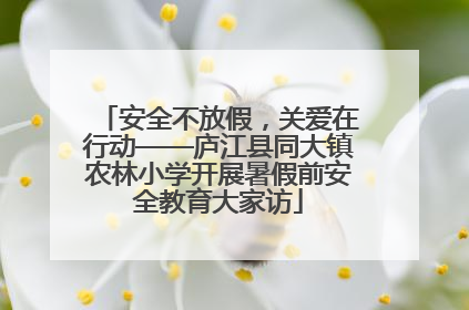 安全不放假，关爱在行动——庐江县同大镇农林小学开展暑假前安全教育大家访
