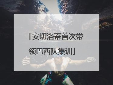 安切洛蒂首次带领巴西队集训