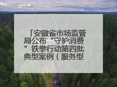 安徽省市场监管局公布“守护消费”铁拳行动第四批典型案例（服务型执法专刊）