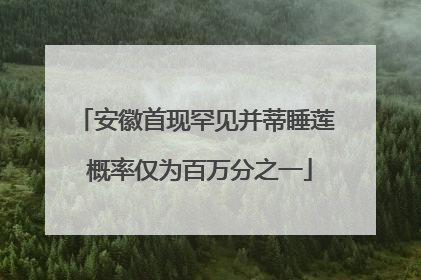 安徽首现罕见并蒂睡莲 概率仅为百万分之一