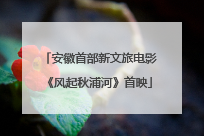 安徽首部新文旅电影《风起秋浦河》首映