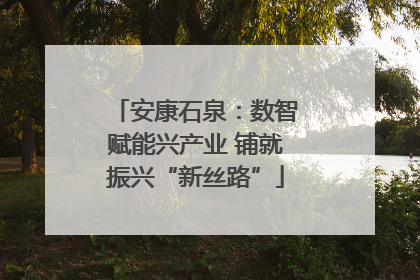 安康石泉：数智赋能兴产业 铺就振兴“新丝路”