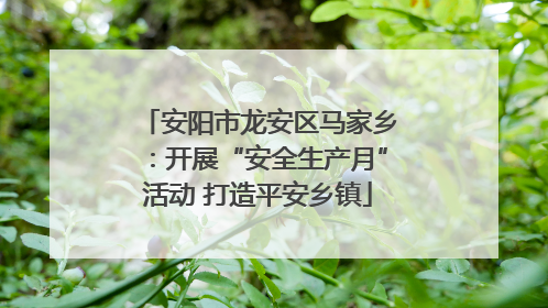 安阳市龙安区马家乡：开展“安全生产月”活动 打造平安乡镇