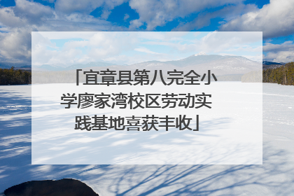 宜章县第八完全小学廖家湾校区劳动实践基地喜获丰收