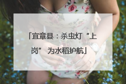 宜章县：杀虫灯“上岗” 为水稻护航