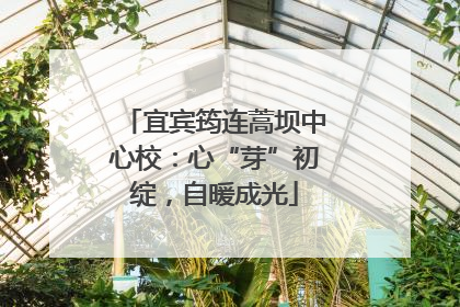 宜宾筠连蒿坝中心校：心“芽”初绽，自暖成光
