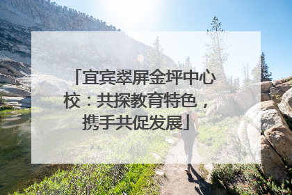 宜宾翠屏金坪中心校：共探教育特色，携手共促发展