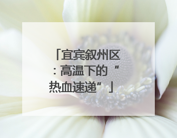 宜宾叙州区：高温下的“热血速递”
