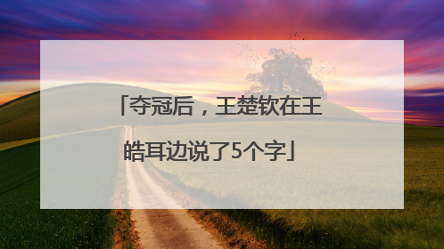夺冠后，王楚钦在王皓耳边说了5个字