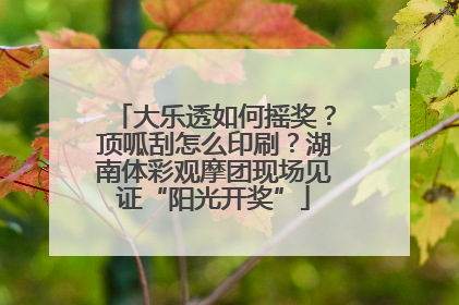 大乐透如何摇奖？顶呱刮怎么印刷？湖南体彩观摩团现场见证“阳光开奖”