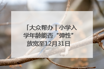 大众帮办｜小学入学年龄能否“弹性”放宽至12月31日？有地方已在探索