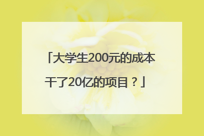 大学生200元的成本干了20亿的项目？