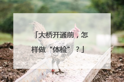 大桥开通前，怎样做“体检”？