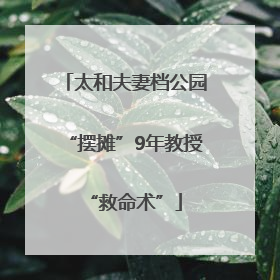 太和夫妻档公园“摆摊”9年教授“救命术”