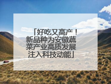 好吃又高产！新品种为安徽蔬菜产业高质发展注入科技动能