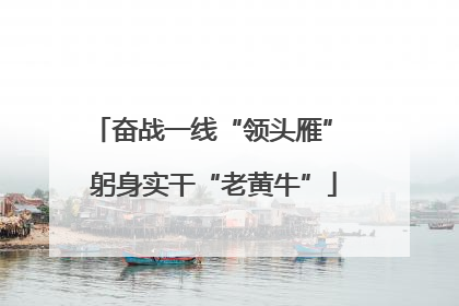 奋战一线“领头雁” 躬身实干“老黄牛”