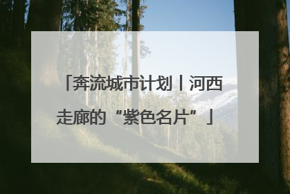 奔流城市计划丨河西走廊的“紫色名片”