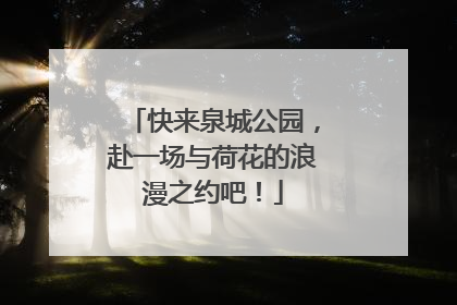 快来泉城公园，赴一场与荷花的浪漫之约吧！