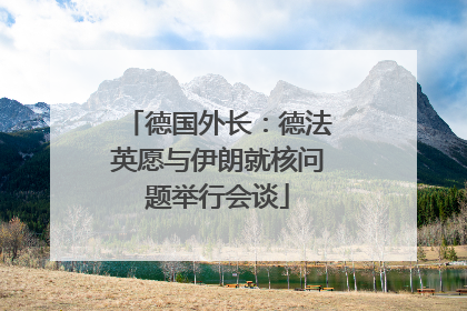 德国外长：德法英愿与伊朗就核问题举行会谈