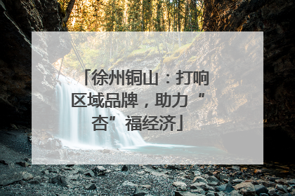 徐州铜山：打响区域品牌，助力“杏”福经济