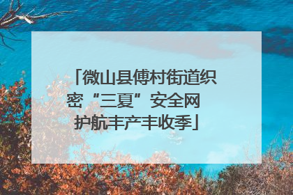 微山县傅村街道织密“三夏”安全网 护航丰产丰收季