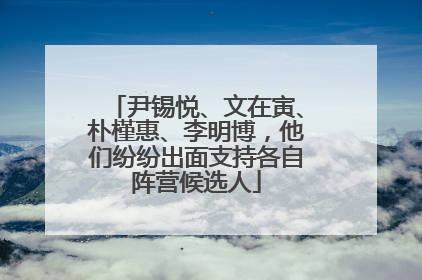 尹锡悦、文在寅、朴槿惠、李明博，他们纷纷出面支持各自阵营候选人