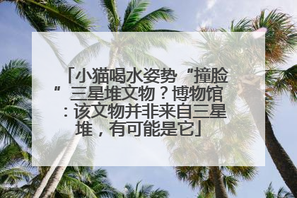 小猫喝水姿势“撞脸”三星堆文物？博物馆：该文物并非来自三星堆，有可能是它
