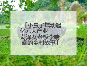 小虫子蠕动起亿元大产业——菏泽女老板李端端的乡村故事