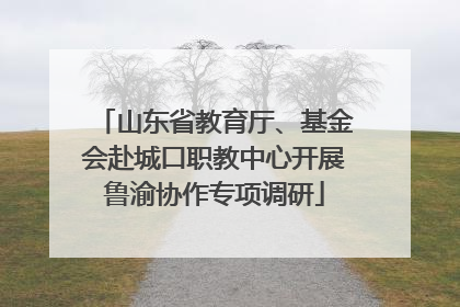 山东省教育厅、基金会赴城口职教中心开展鲁渝协作专项调研