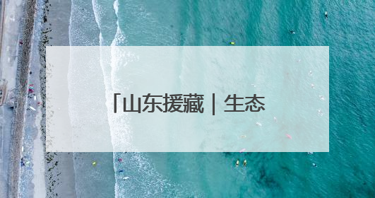 山东援藏｜生态援藏，戈壁滩上的“潍坊魔法”